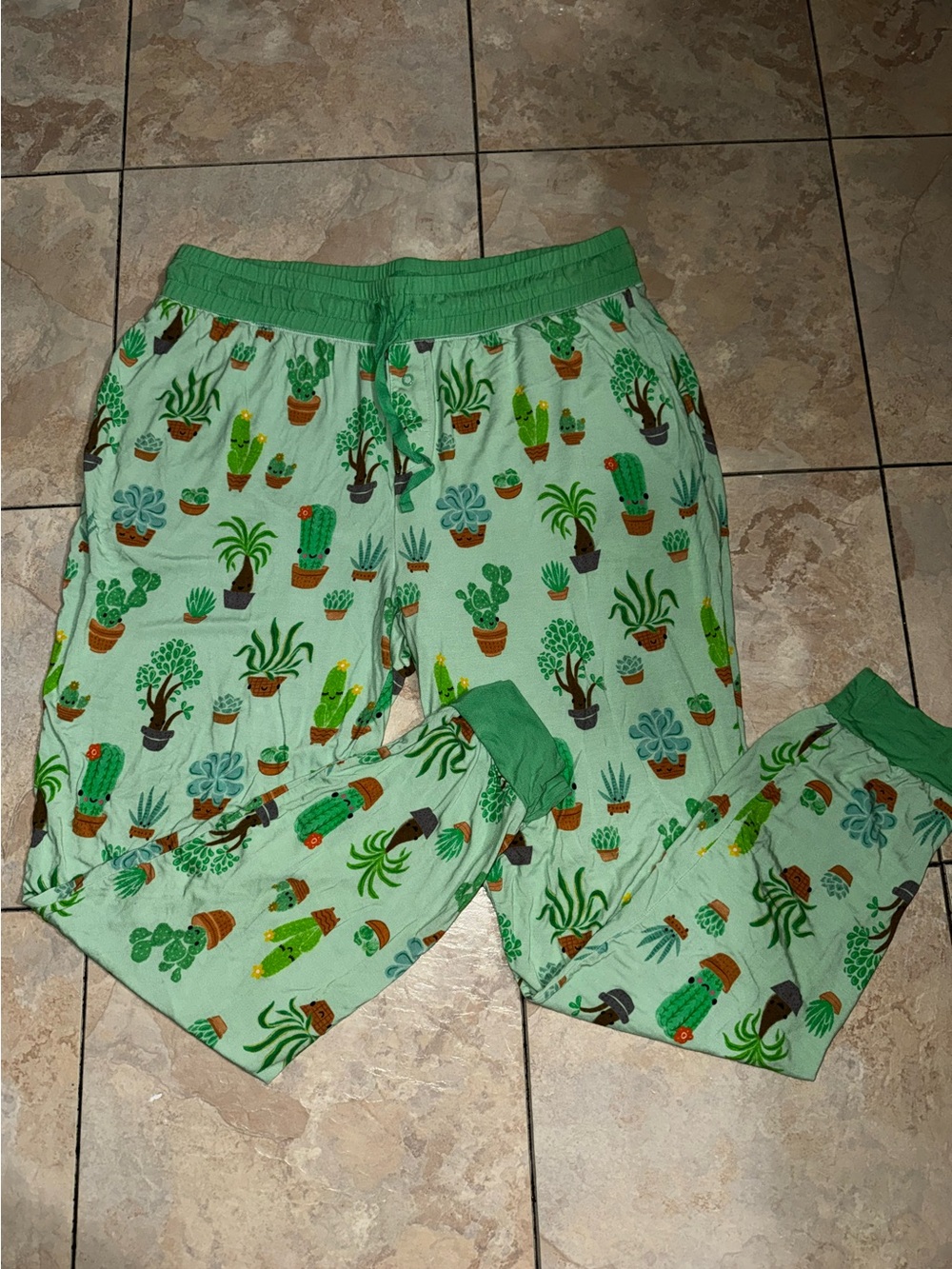 Succulent love little sleepies women jogger